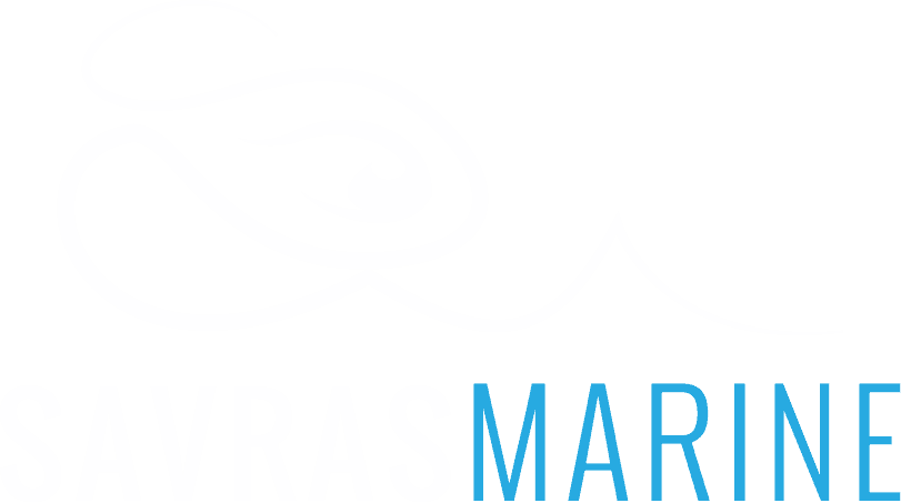 Professional boat repair and maintenance services at Savras Marine.